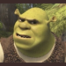 Bigtoed