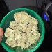 Sexlovnpain