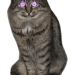 Pluvius