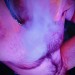 GayAllTheWay6977